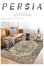 Tapis Bohème / Oriental Luxe en Polyester à Motifs Persans – Référence : 572381